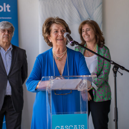 Inclusive-Energy-Communities-Bicesse-5