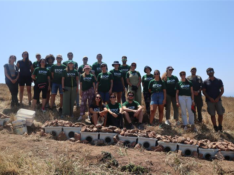 Supporting Seabird Conservation: Cagarra Nesting